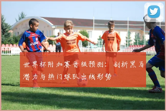 世界杯附加赛晋级预测:剖析黑马潜力与热门球队出线形势