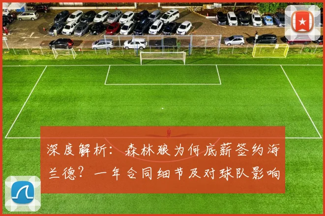 深度解析:森林狼为何底薪签约海兰德?一年合同细节及对球队影响全面分析