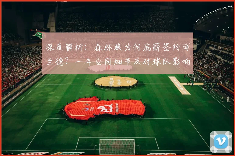 深度解析：森林狼为何底薪签约海兰德？一年合同细节及对球队影响全面分析
